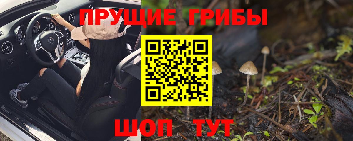 Галлюциногенные грибы MAGIC MUSHROOMS Избербаш